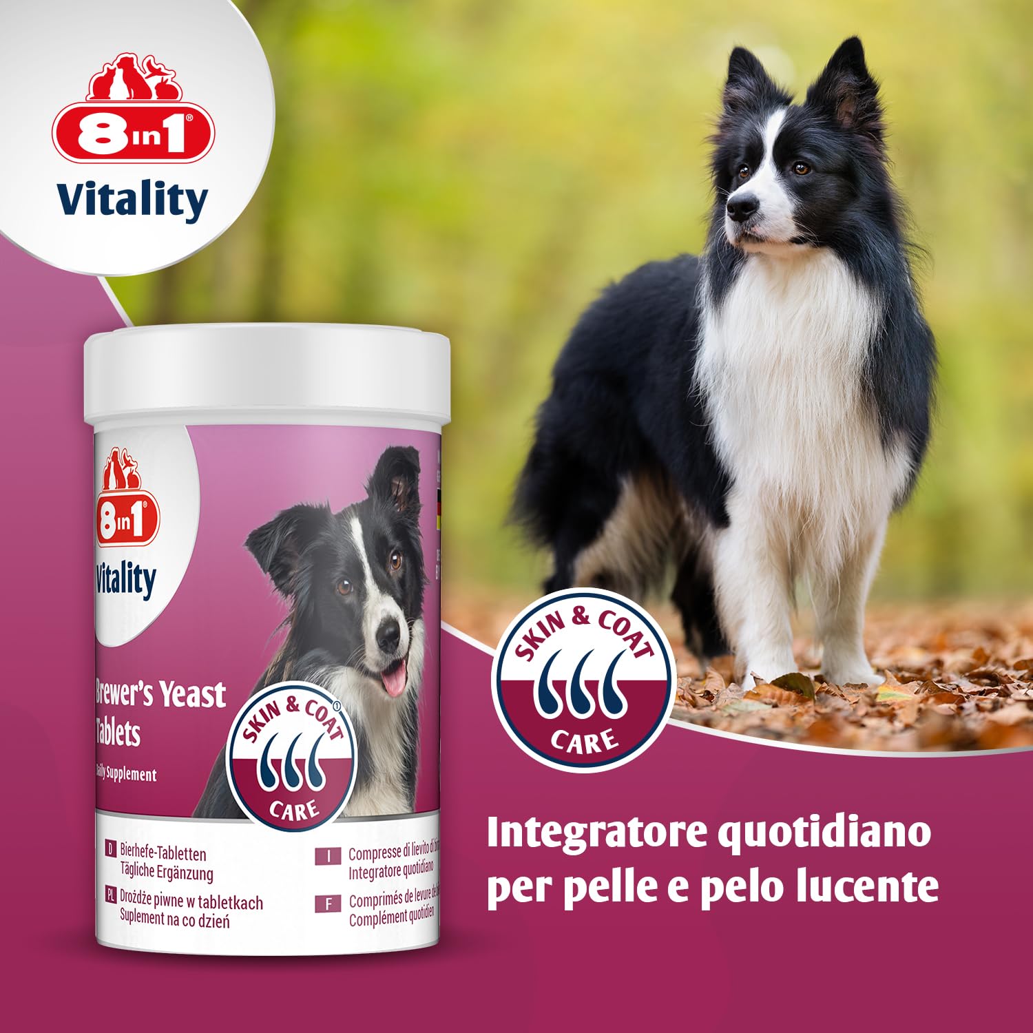 8in1 Compresse di Lievito di Birra per cani - Combinazione unica di vitamine per tutti i cani, supporta la cura della pelle e del pelo, 1 lattina (260 compresse)