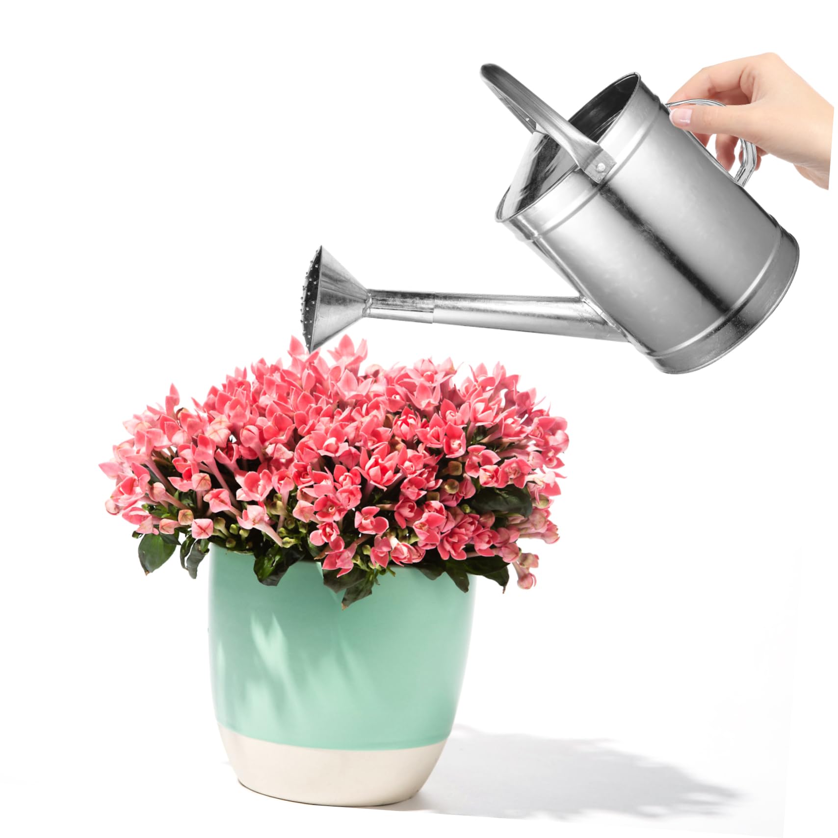 Générique Arrosoir en pour Plantes D'intérieur Arrosoir à Long Bec 5l Poignée pour Arrosage Intérieur Et Extérieur Brumisateur Pratique Et Robuste