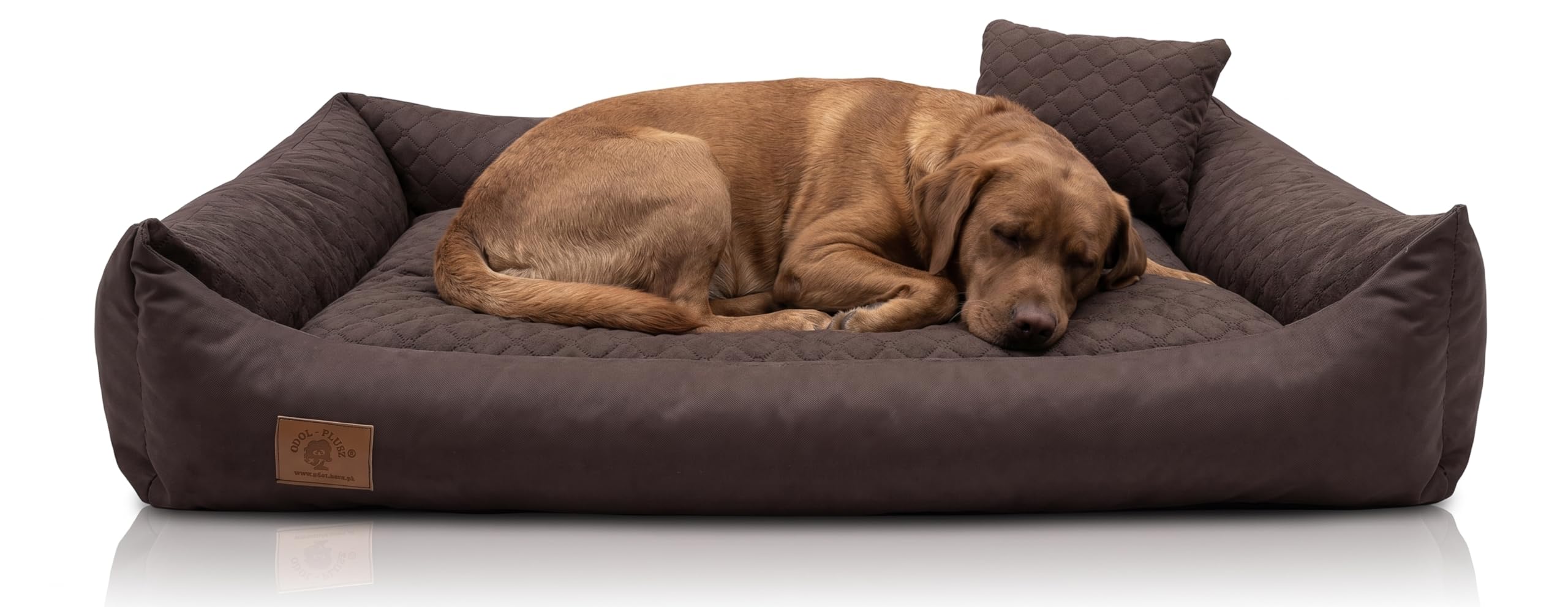 Odolplusz XXL legowisko dla psa, poduszka dla psa, sofa dla psa z dwustronną poduszką (rozmiar i kolor do wyboru)