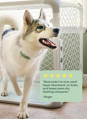 Miniatura 9 de Earth Rated Max Absorbency - Almohadillas para orinar de cachorros para perros que se absorben 2 veces más rápido y 2 veces más, a prueba de fugas,