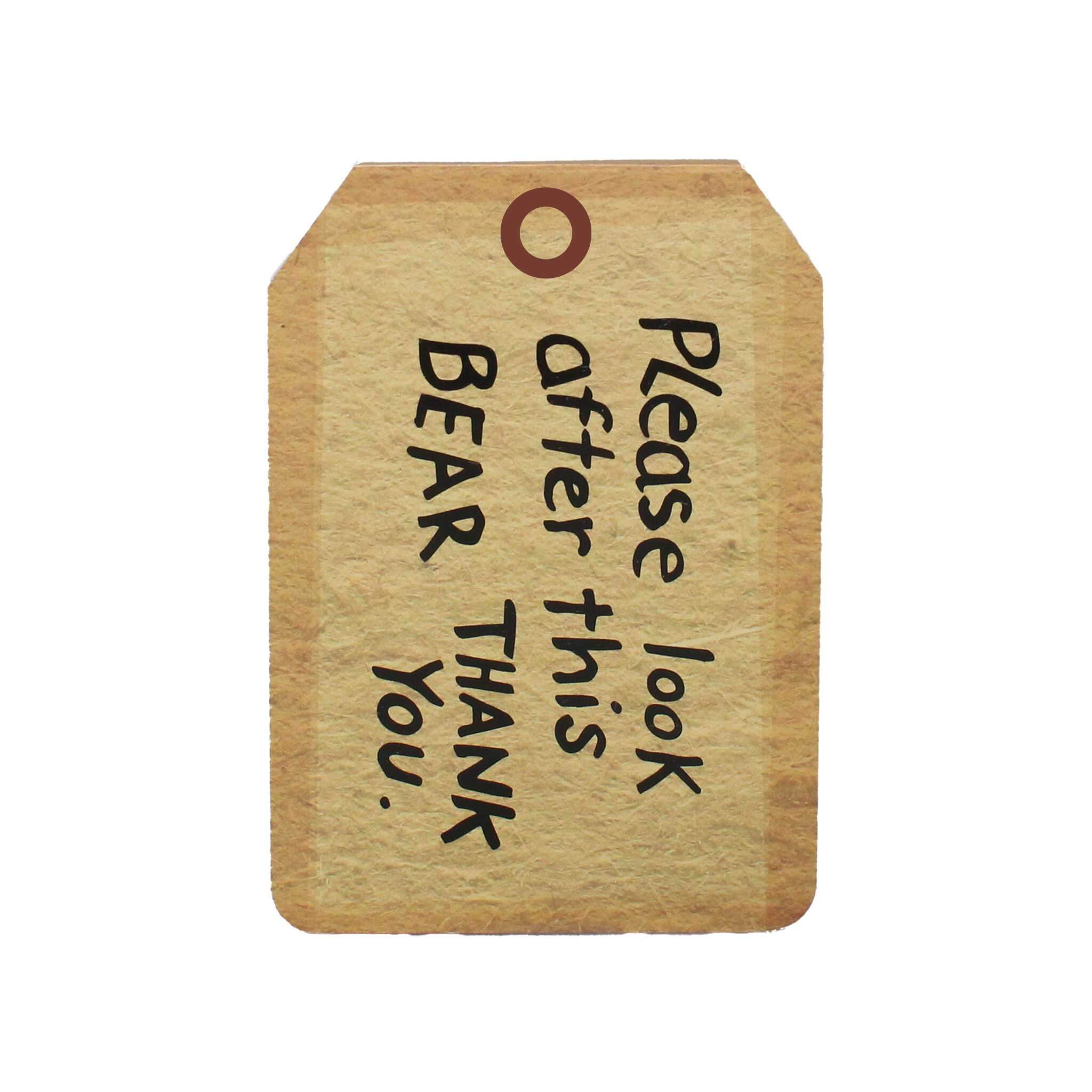 Half Moon Bay | Paddington Bear | Luggage Tag Shaped Pocket Notebook | 160 Lined Pages Memo Pad | Official Merchandise | Heartwarming British Gift for Children