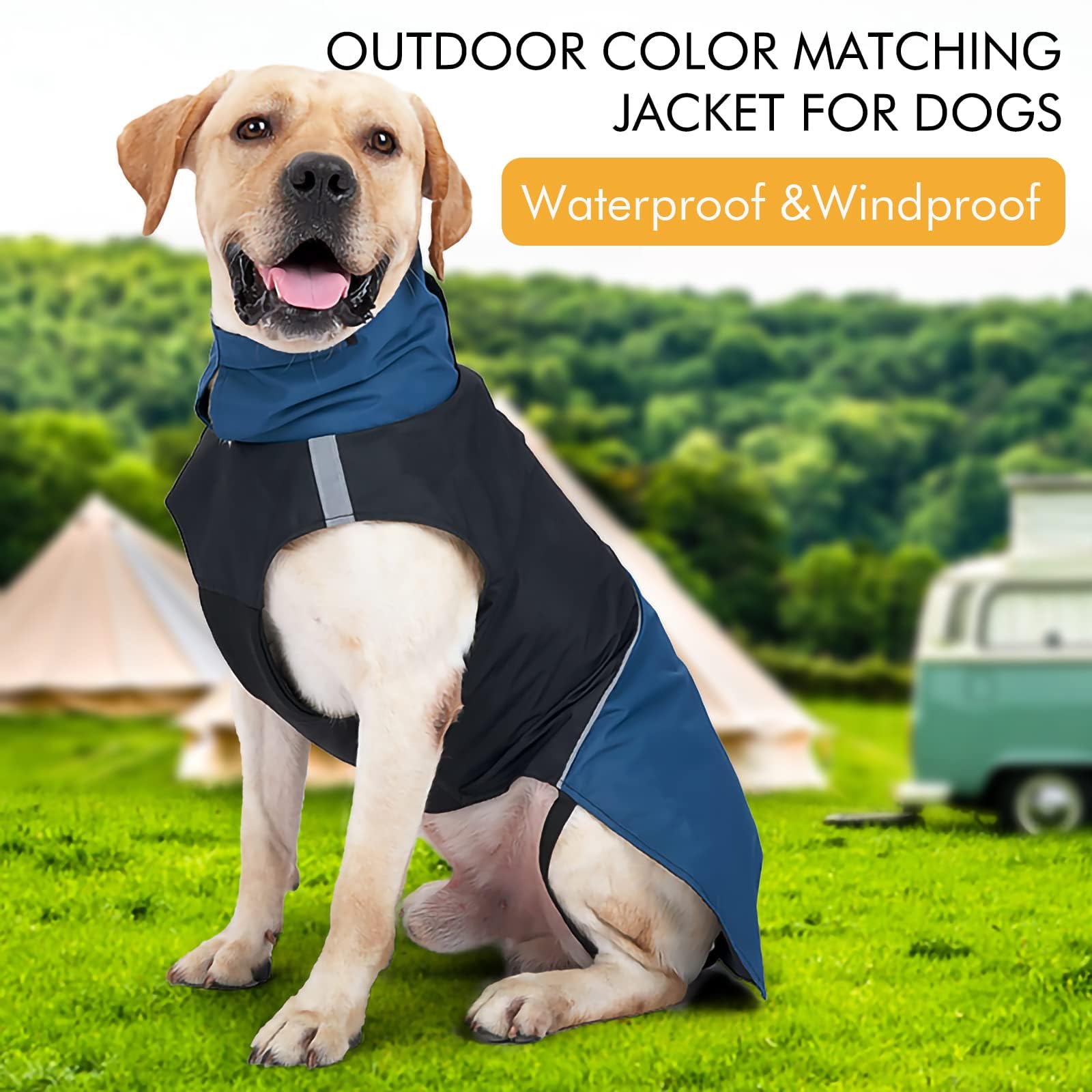 Abrigos cálidos para perro, resistentes al viento, chaquetas de invierno para exteriores, abrigos para clima frío para perro, impermeables con agujero para correa de perro, negro y azul, talla M