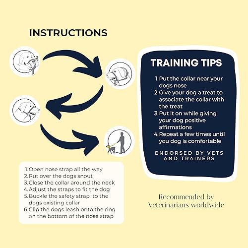 Miniatura 5 de Collar para la cabeza para perro con correa y correa de seguridad que detiene los tirones pesados de la cabeza reflectante acolchado para perros