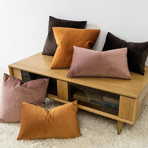 Miniatura 2 de JUSPURBET - Juego de 2 fundas de cojín decorativas de terciopelo para sofá o cama, fundas de cojín unicolor, lujosas y suaves, 20 x 20 pulgadas,