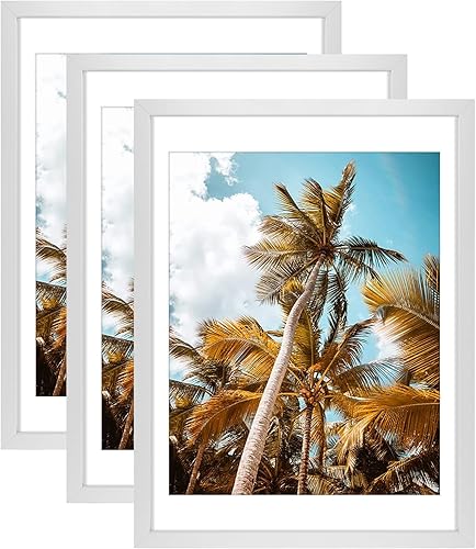 Vista 470 de Frametory, Portarretratos negro de 16 x 20 pulgadas, para fotos de 11 x 14 pulgadas con paspartú, molduras anchas (16 x 20 pulgadas, negro)