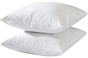 Premium 24x24 Euro Down Throw Pillows