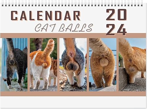 Calendario de bolas de gato 2024, calendario de butthole de gato para regalo de broma, calendario familiar mensual colgante de arte de pared