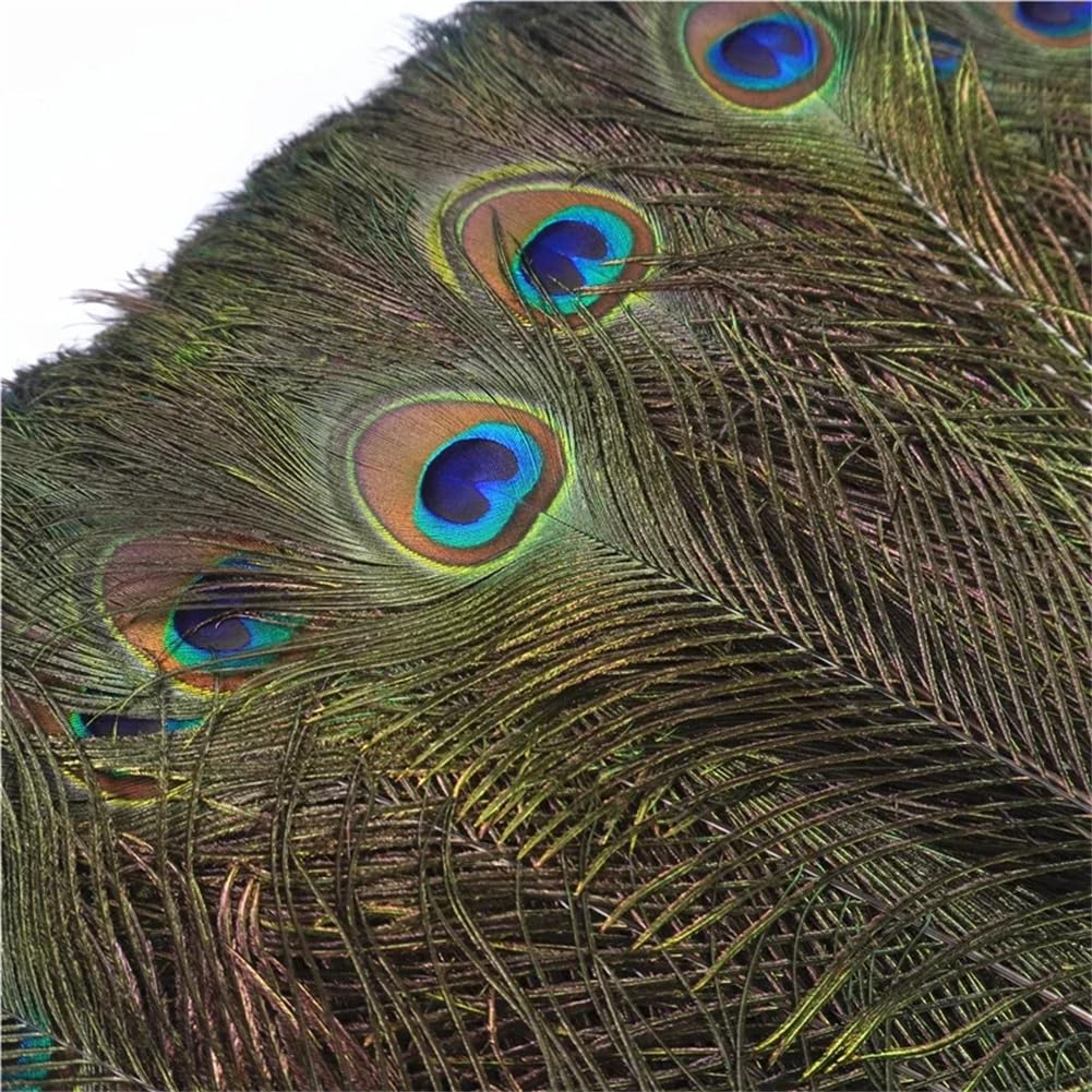 Naturalne pióra bażanta, Craft Pawie pióra wielokolorowe 25-30 cm, opakowanie 20 sztuk(Peacock Eyes)