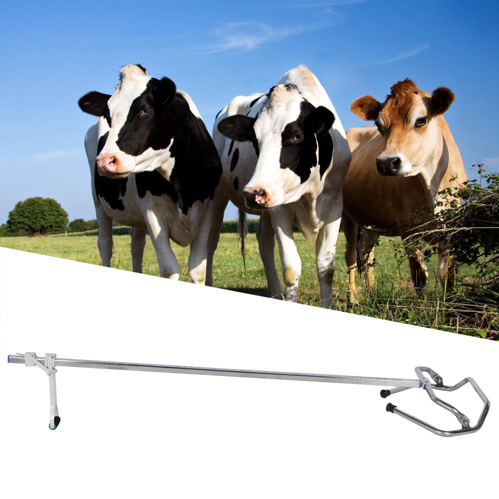 Kit de ayuda para el parto y extractor de terneros de vaca |Equipo veterinario de acero inoxidable para distocia |Asistencia sencilla para la entrega de ganado vacuno y ovino
