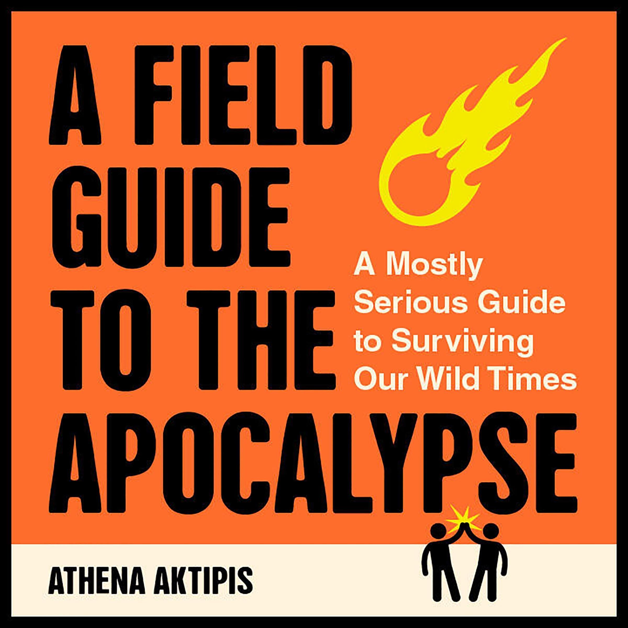 Cover art for A Field Guide to the Apocalypse