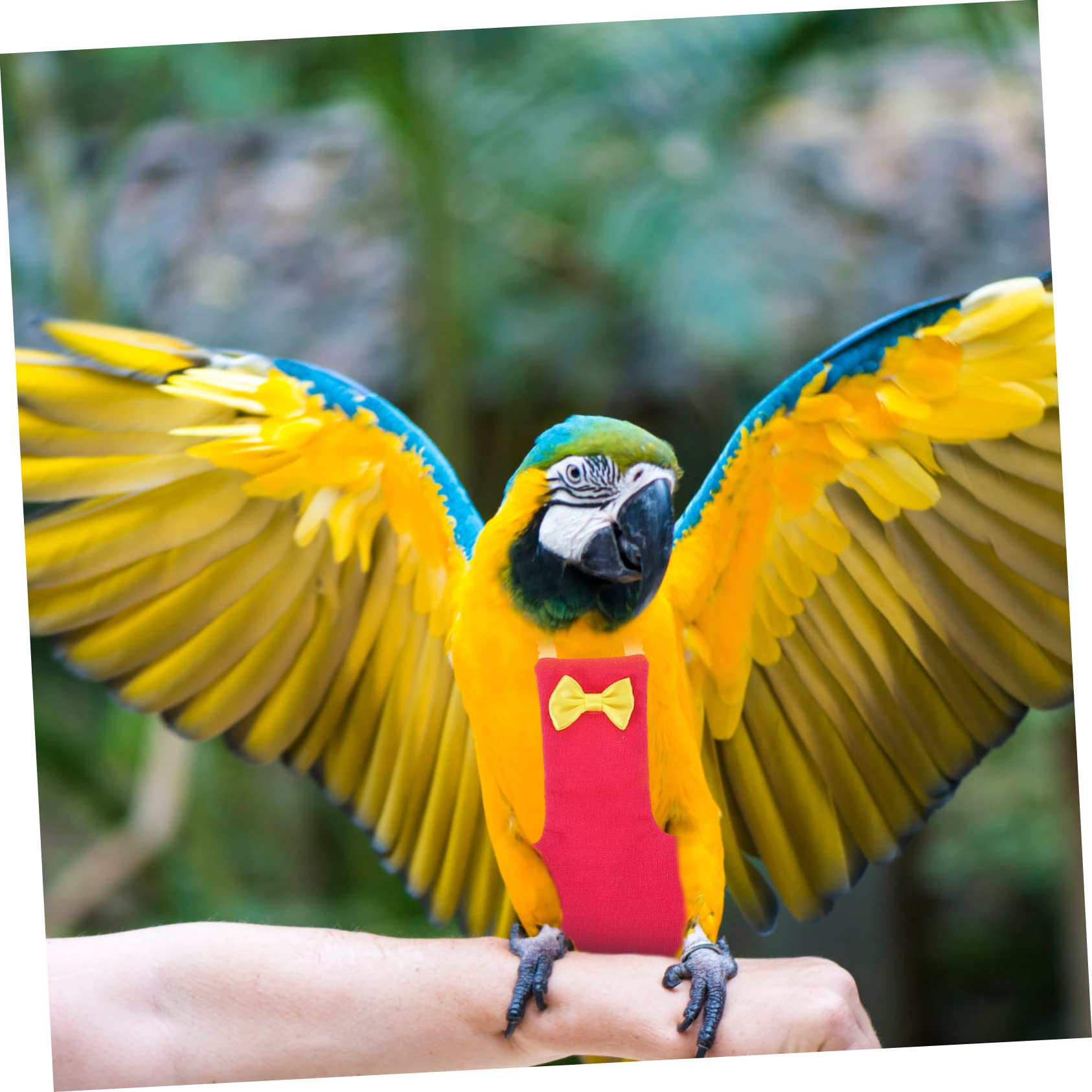 minkissy 2 stücke Fliegende Vogel Windeln Haustier Vogel Windeln Taube papagei Kleidung Flug Anzug für vögel nymphensittich papagei Kleidung