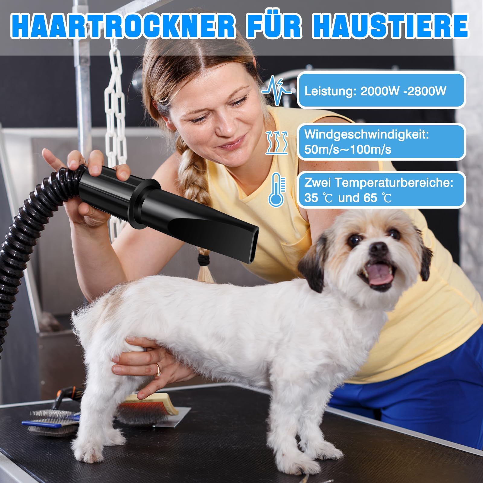 Secador de pelo profesional para perros de 2800 W, calor y velocidad ajustables con 4 boquillas diferentes
