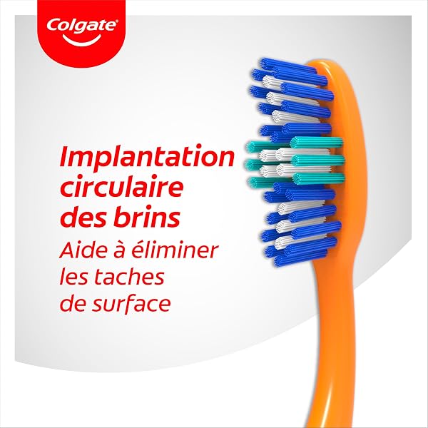 COLGATE - Brosse à dents Triple Action Médium - Nettoyage Interdentaire - Blancheur Naturelle - Haleine Fraîche - Lot de 3 Brosses - 5
