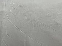 Review Image by Steve Steve