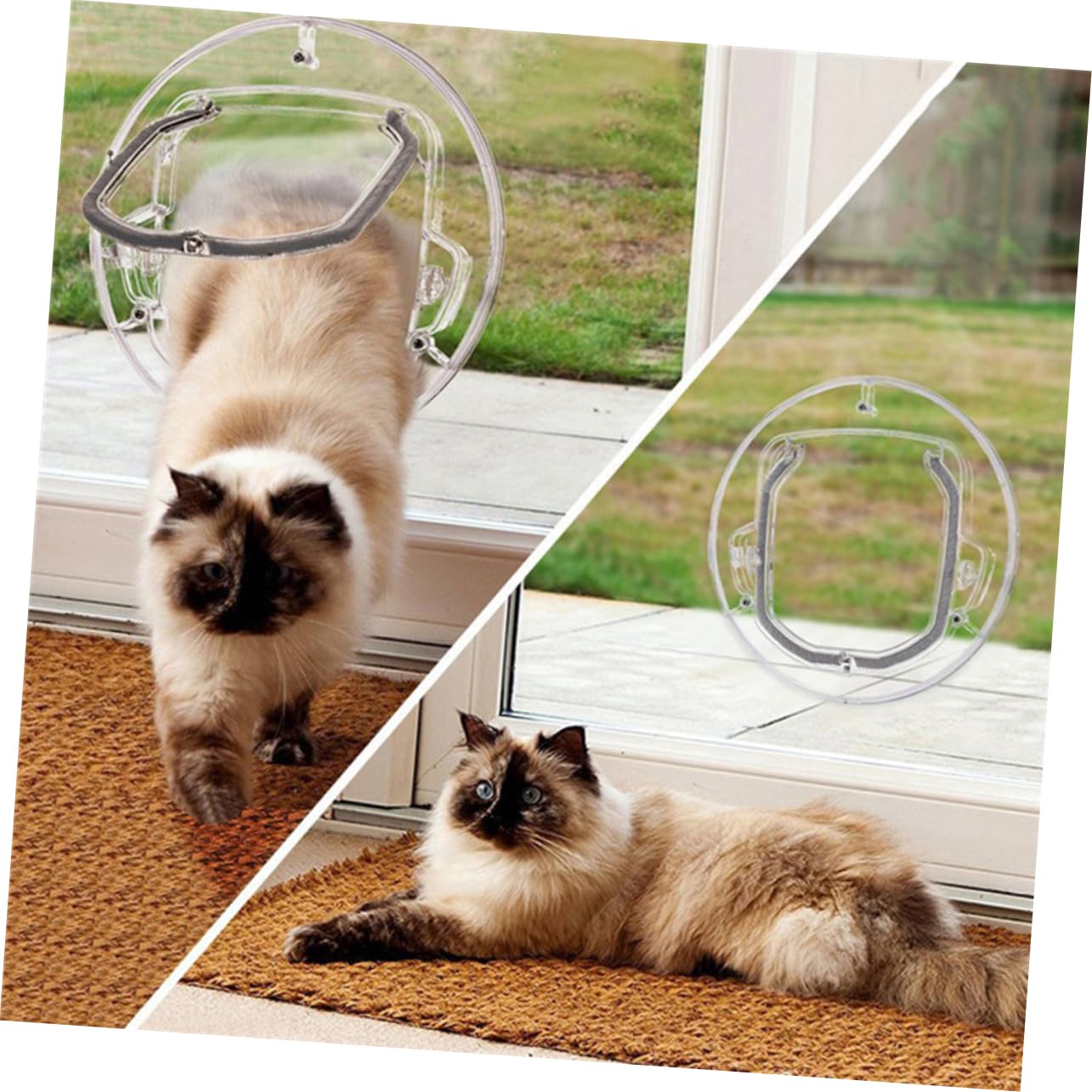 DECHOUS Katzentür Mit Transparenter Haustiertür Und Katzenklappe Ausgangstür Langlebiges Material Geeignet Für Katzen Und Kätzchen Mit Leiser Bürste