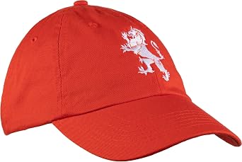 شركة آن أربور تي شيرت. الأسد الهولندي | هولندا الكبرياء Nederlander Nederland Orange Oranje Baseball Cap Dad Hat