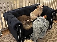 Review Image by MsAmazon MsAmazon