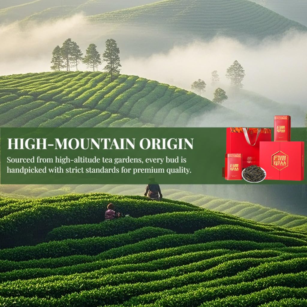 Tè Oolong Phoenix Dancong Di Alta Qualità | Confezione Regalo Di Tè Di Lusso | Morbido E Avvolgente | Tè Cinese in Foglie Sfuse (250g × 2) / 17,64oz