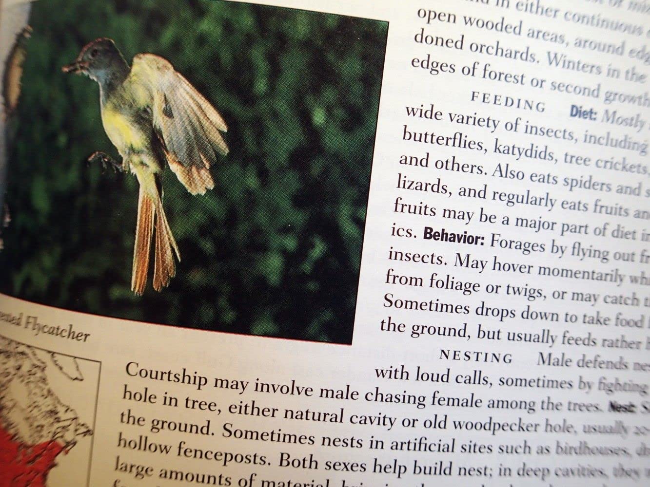 Lives of North American Birds (Peterson Natural History Companions) - Image 6