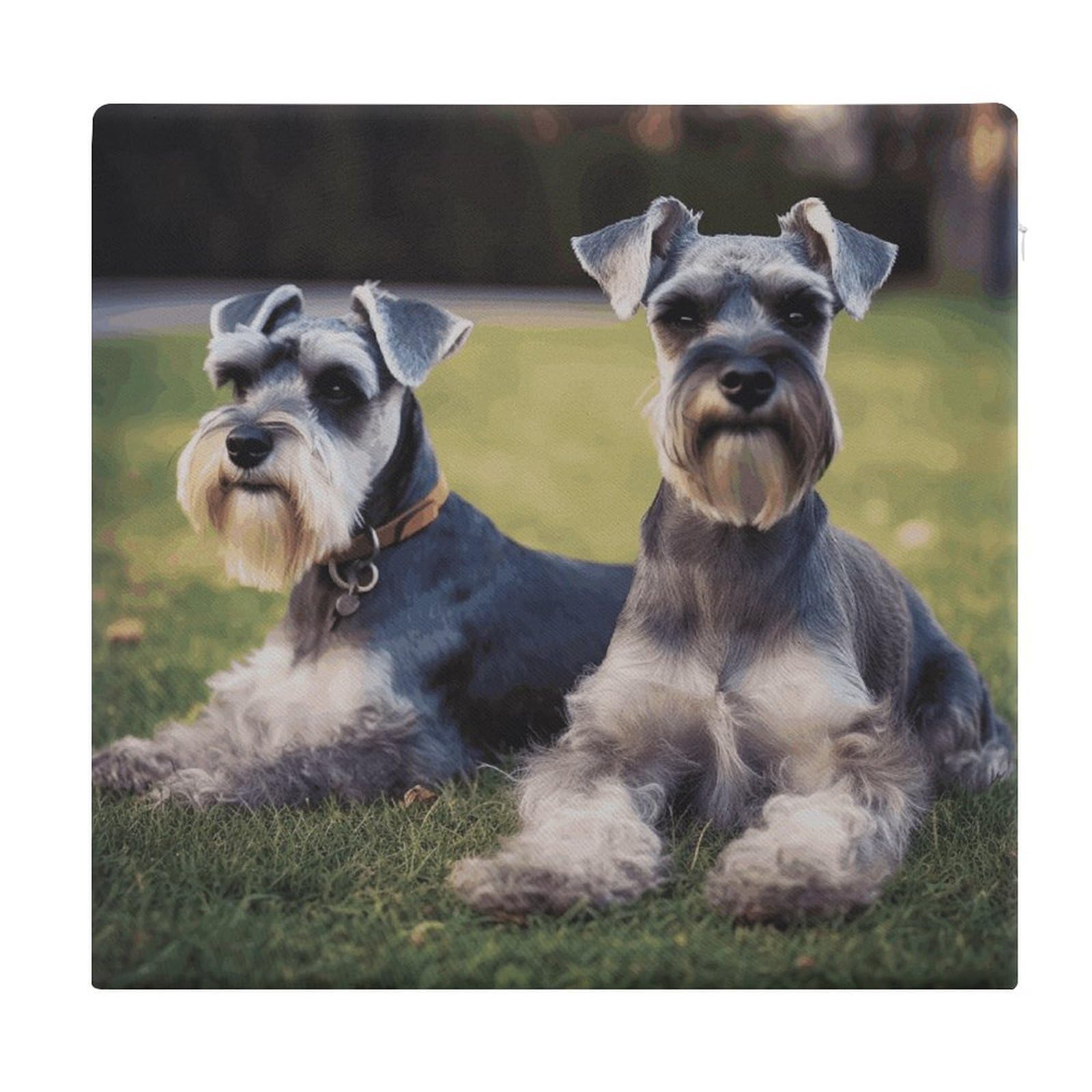 JTREHY Adult Schnauzer Dogs Chair Cushions Non-Slip Bar Stool Cushions Ultra Soft Warm Memory Foam Meditation Cushion Removable Large Square Seat Cushions for Dining Chair 15x14In