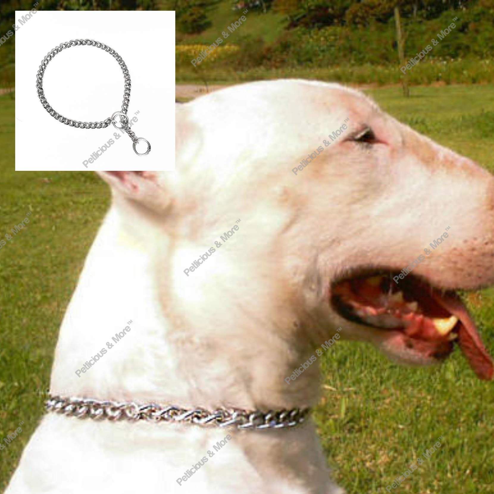 PnM Chrome Plated Dog Choke Chain Dog Collar Chain Choke Chain Training Collar Training Chain - 16 Inch Collar / 1 Cm Thick (B07GXKSCYG) Amazon Price History, Amazon Price Tracker