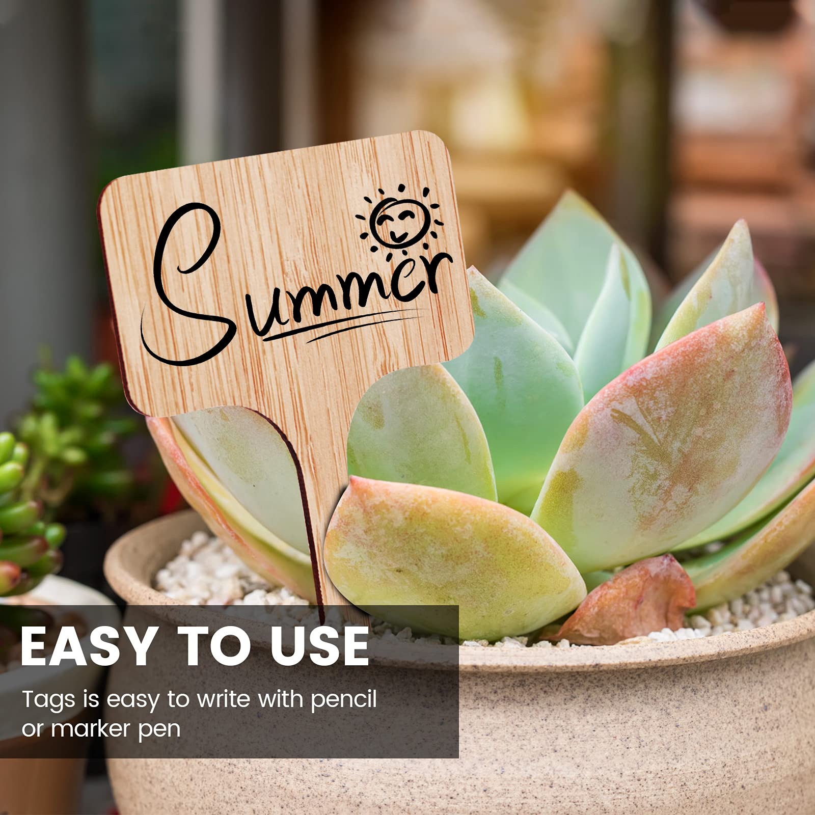 50 Etiquetas De Bambú Tipo T Para Plantas – Con Bolígrafo, Ideales Jardín, Huerto O Manualidades