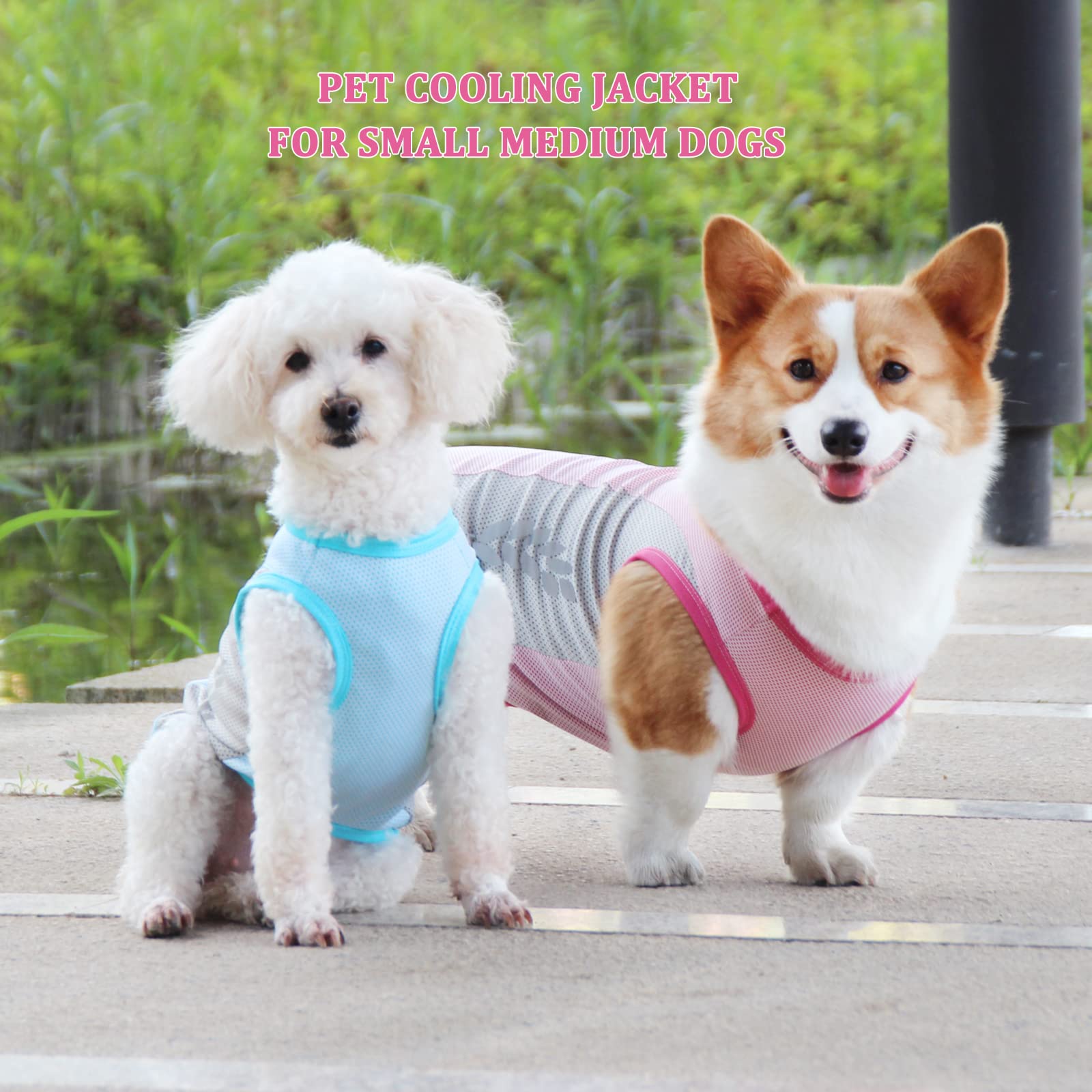 Gilet di Raffreddamento per Cani Leggeri, Maglietta di Sicurezza per Cani Traspirante a Prova di Sole, Protezione UV Cappotto per Cani con Striscia Riflettente, Giacca di Raffreddamento per Animali