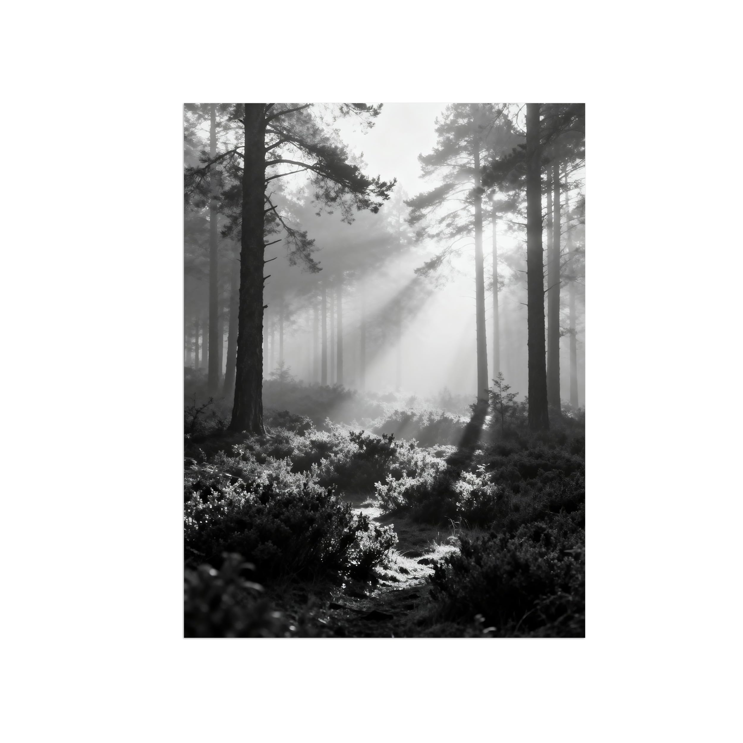 OZPWBVY Black and White Landscape Print Painting-Forest Tree 12-Minimalist Canvas Wall Art Picture for Home Decor 16x20in 40x50cm Unframed
