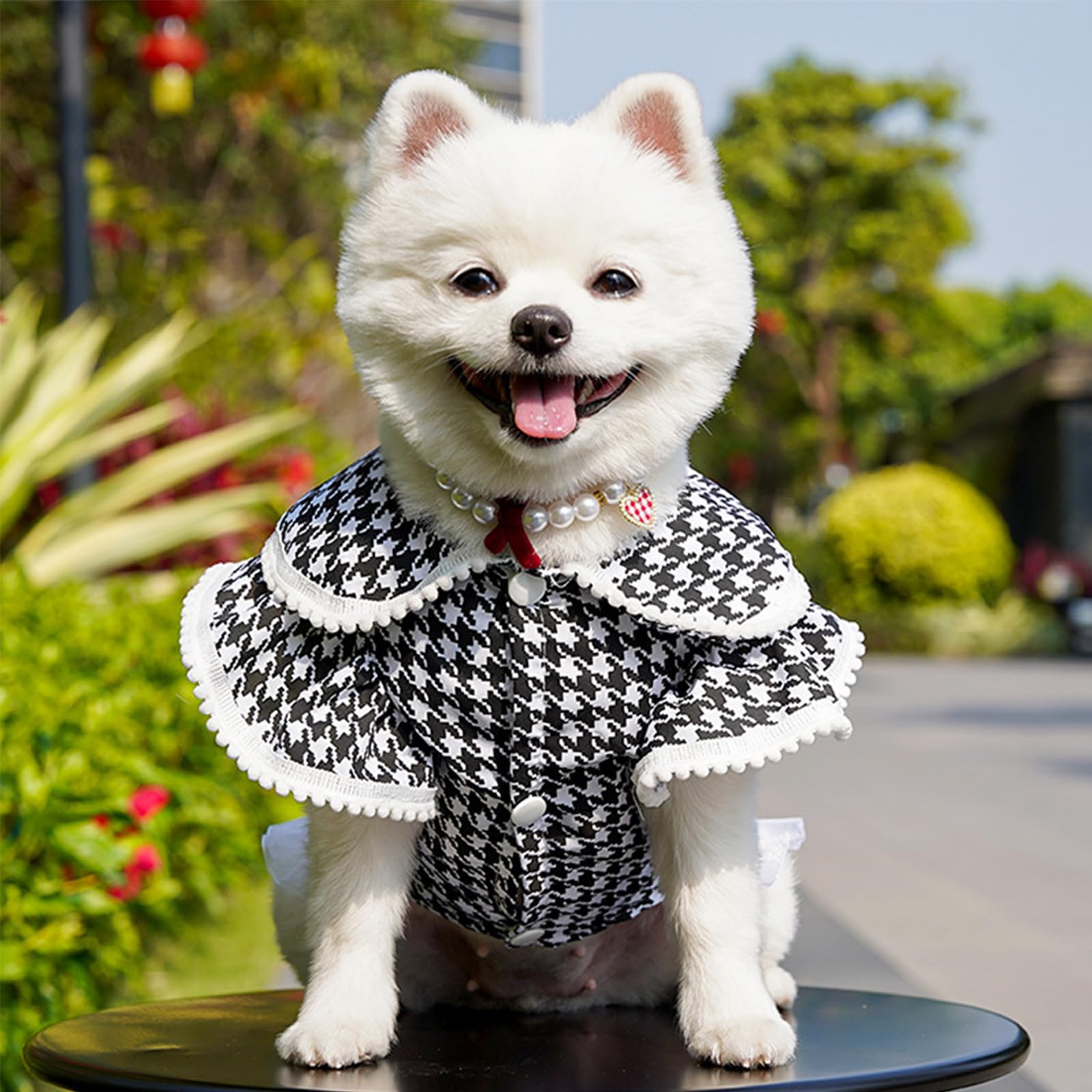 Dog Princess Dress,Dog Clothes Girl Puppy Shirt Yorkie Clothes Cute Puppy Summer Outfits_3XL(Shirt)