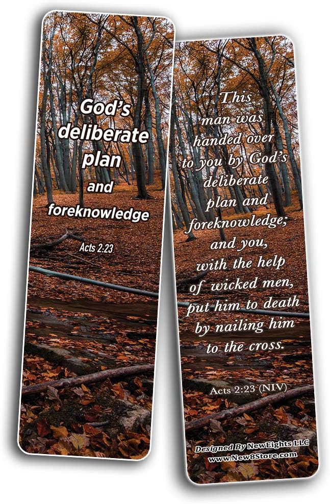 NewEights Seek God's Plan Memory Verses Bookmarks (60-Pack) - Great Gifts for ministries and Sunday Schools Christian Stocking Stuffers Birthday Assorted Bulk Pack - Church Memory Verse Sunday Gifts