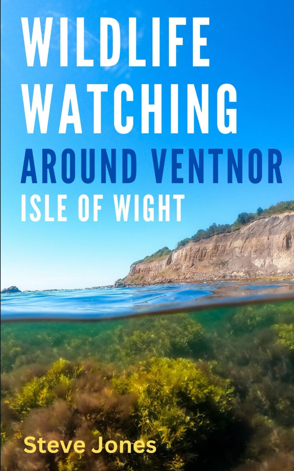 Wildlife Watching Around Ventnor, Isle of Wight