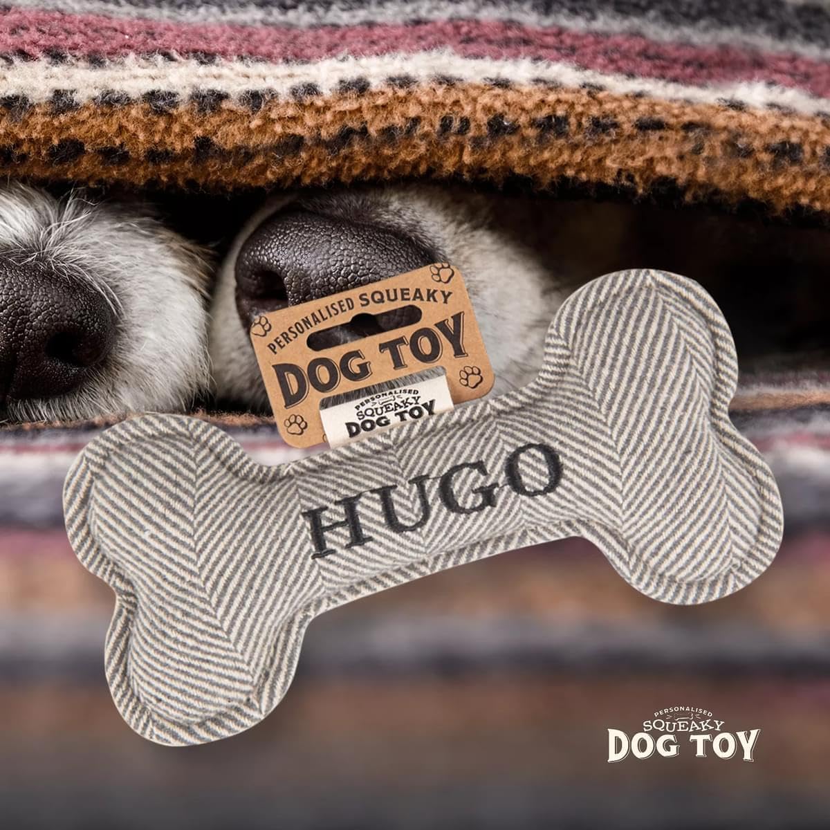 History & Heraldry Squeaky Bone Toy [Names A – J] Hugo