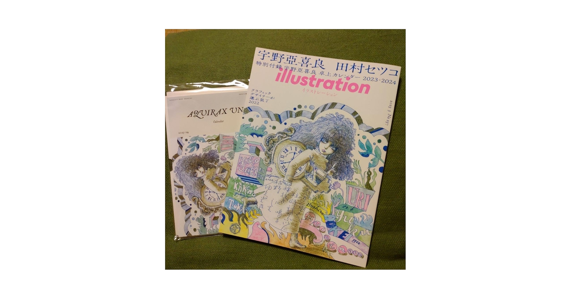 Amazon.co.jp: illustration イラストレーション 237 宇野亜喜良
