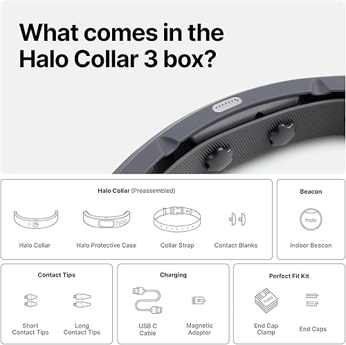 Miniatura 7 de Halo Collar 3 (medianogrande, orquídea)  Cerca GPS para perros  Valla inalámbrica multifuncional para perros y collar de entrenamiento con