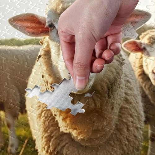 Miniatura 4 de Kigai Divertido rompecabezas de 500 piezas con patrón de ovejas para niños, adolescentes, adultos, familia, 20.5 x 14.9 pulgadas