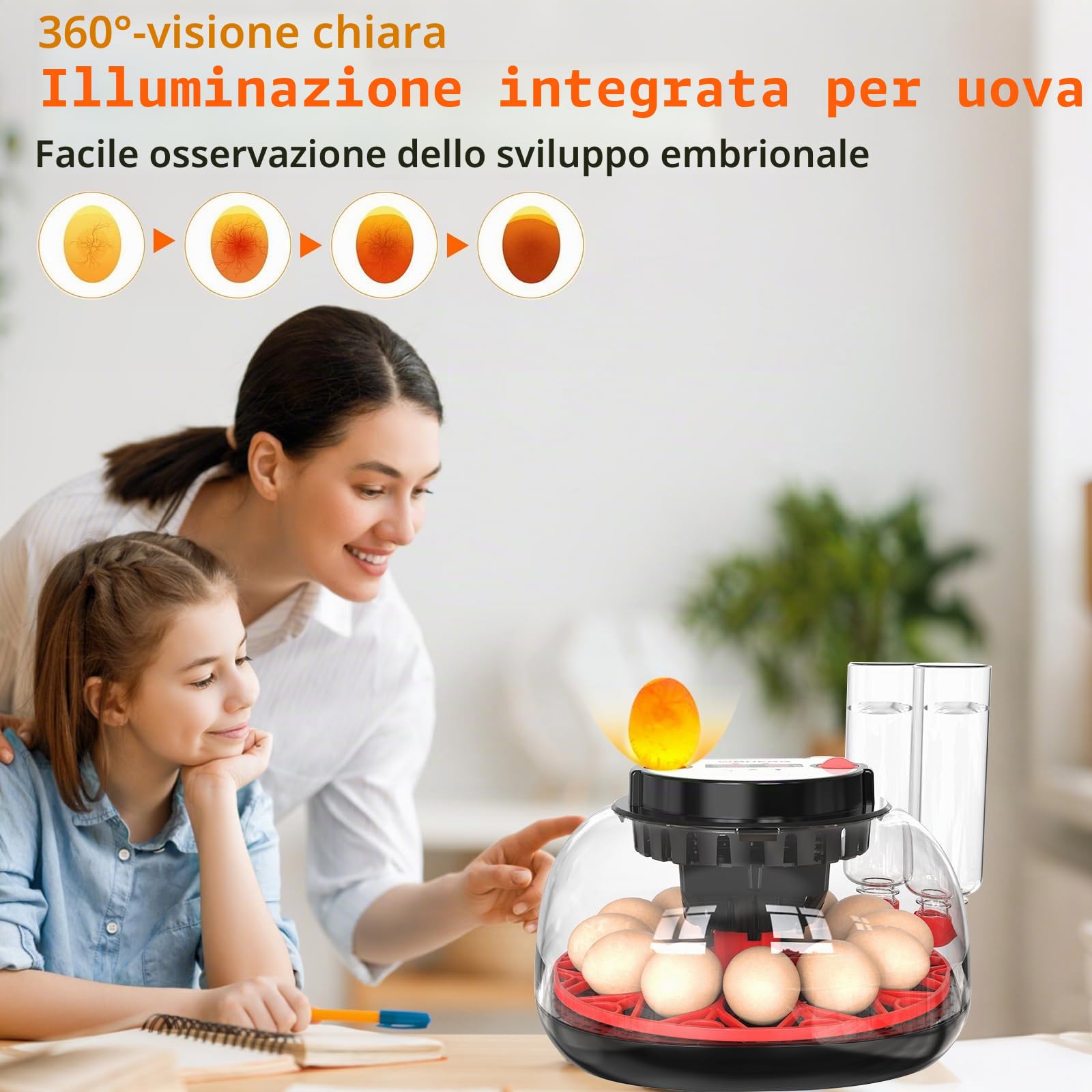 Incubatrice per Uova Automatica, Incubatrice da 12 Uova con Tornitura Automatica delle Uova e Umidificazione Automatica, Incubatrice per Anatra Fattoria e Casa Uova di Gallina, Quaglia