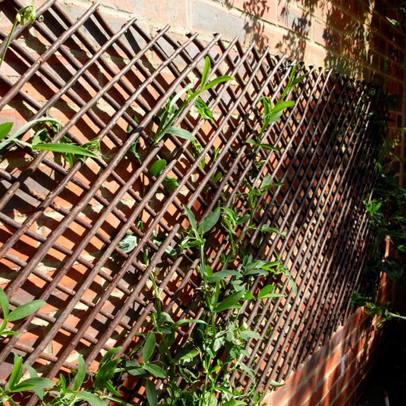Willow Trellis Expanding 90cm x 180cm for Garden Walls and Fences