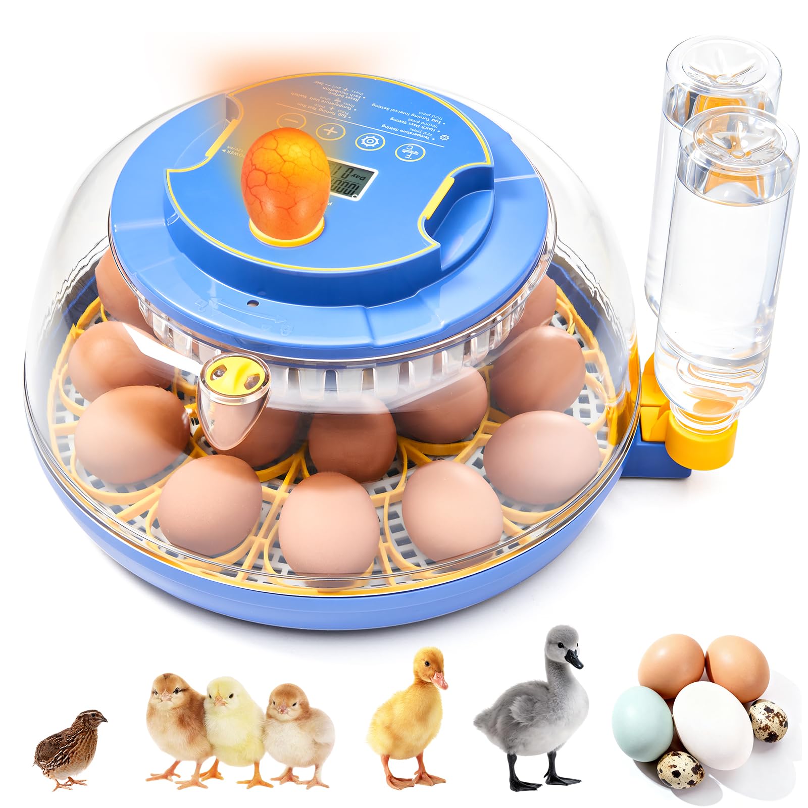 Incubatrice per uova da cova - Capacità 18 uova, incubatrice per uova con rotazione automatica delle uova e controllo della temperatura, incubatrice per pollo, anatra, oca, quaglia, vista completa a