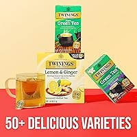 Vista 381 de Twinings Blackcurrant Breeze - Té negro, 6 paquetes de 20 unidades, bolsas de té envueltas individualmente, dulce, sabor picante, con cafeína