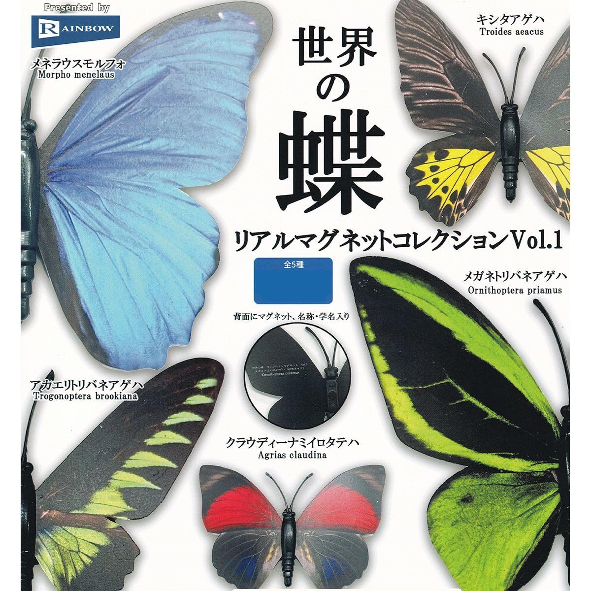 BUTTERFLIES IN THAILAND 全6巻セット BUTTERFLIES IN THAILAND 全6巻セット - メルカリ