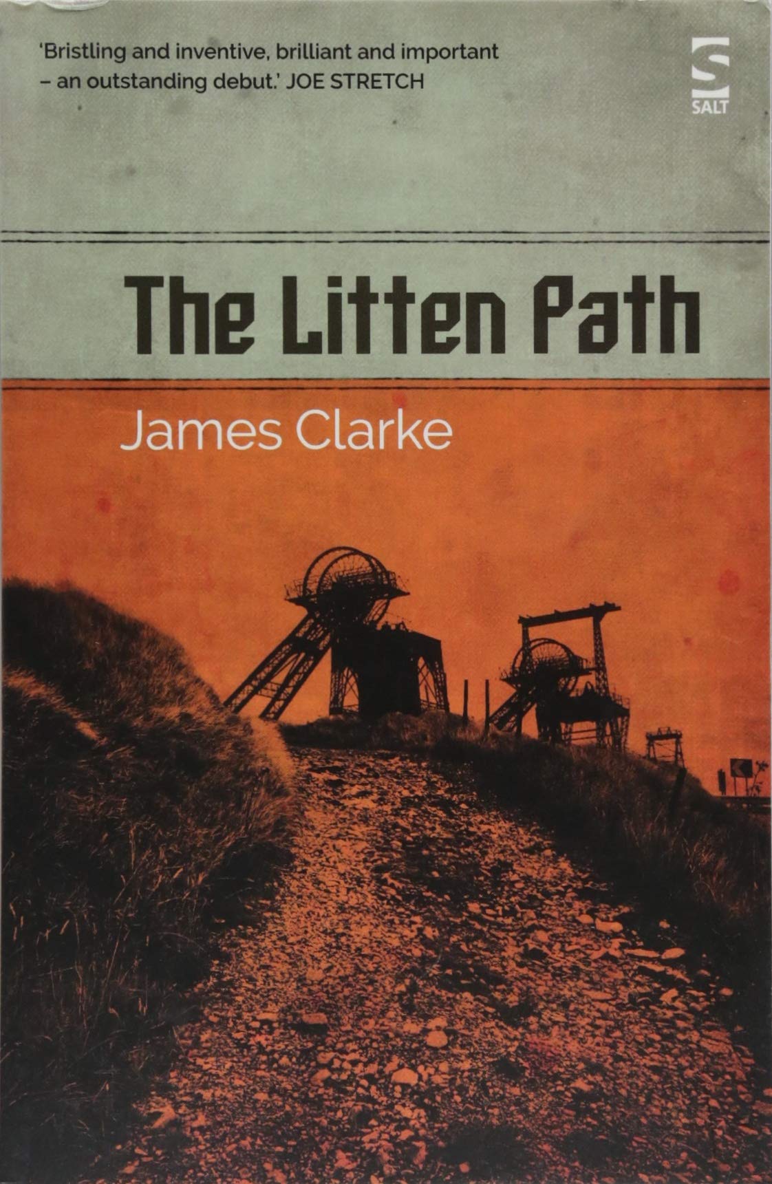 The Litten Path: Winner of The Betty Trask Prize 2019 (Salt Modern Fiction)
