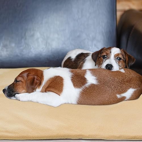 Miniatura 7 de GOTOQOMO - Almohadilla térmica para mascotas de 20 x 32 pulgadas, material de PVC, impermeable, con cable resistente a las mordidas, almohadillas