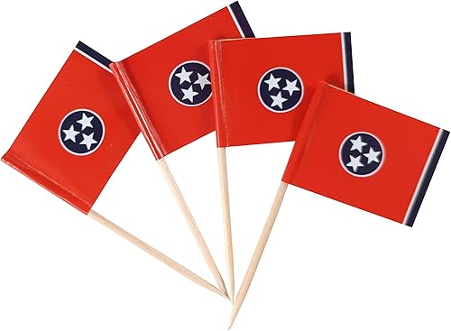Vista 10 de JBCD Banderas pequeñas de Alaska para cupcakes de Alaska (100 piezas)