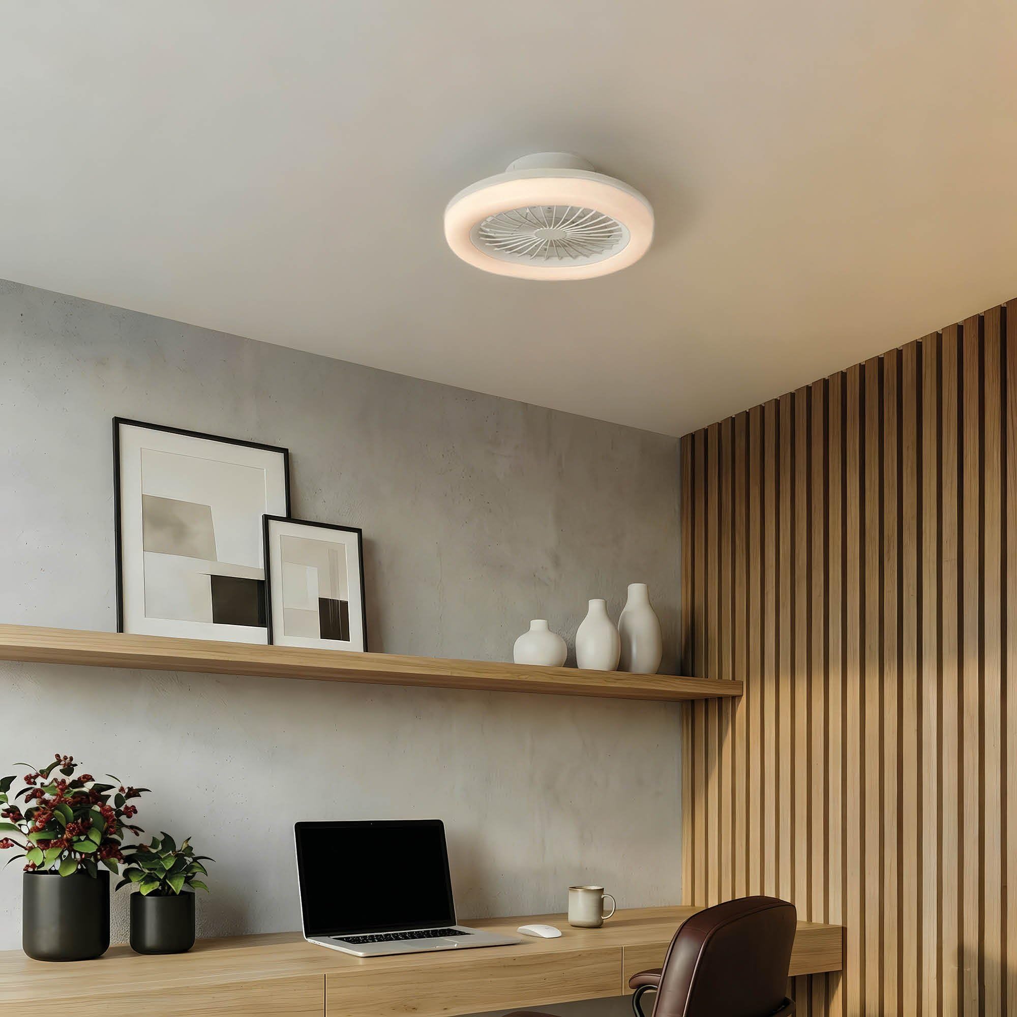 Ledvion - Ventilador de Techo con luz, 42cm, Blanco, 24W, 2500Lm, (2700k/4000K/6000K), 3 temperaturas de luz, 5 velocidades, Temporizador, Mando, Verano-Invierno