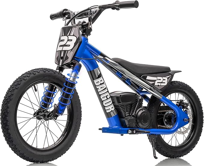 Wanan 250W Electric Dirt Bike for Kids - Reliability and Fun for Young Riders