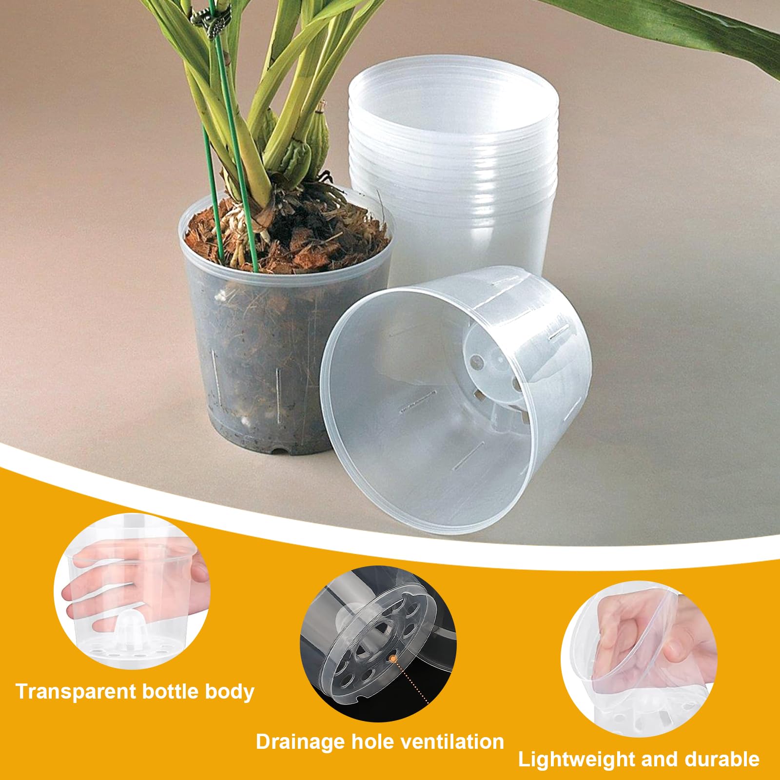 10 vasi trasparenti per orchidee, in plastica, con fori e piattini, traspiranti, per orchidee, per giardini, balconi, interni ed esterni