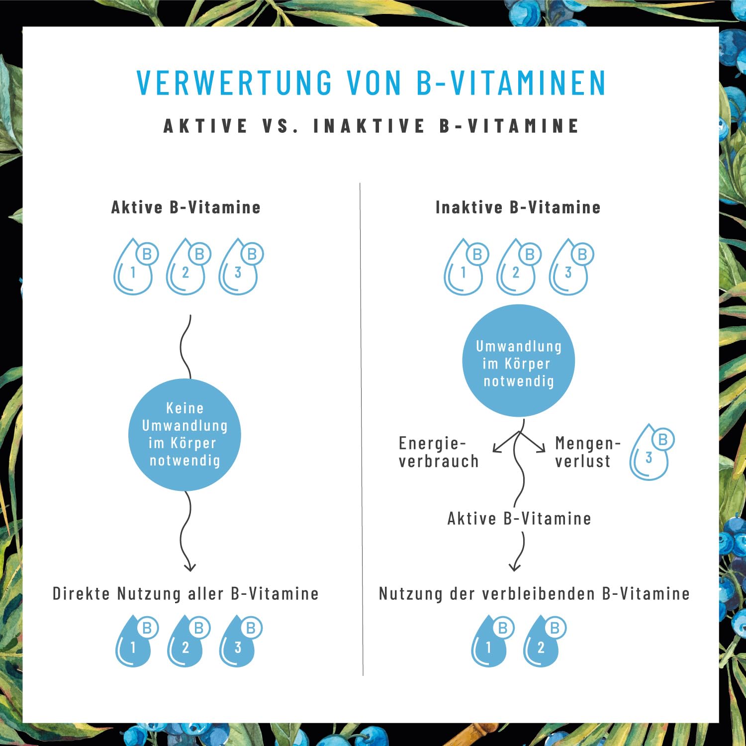 Vitamin B Komplex (B1-B12) mit 3 Kofaktoren aktiv - Alle 8- B Vitamine - B Vitamin Komplex hochdosiert mit Cofaktoren - Nervenstark *