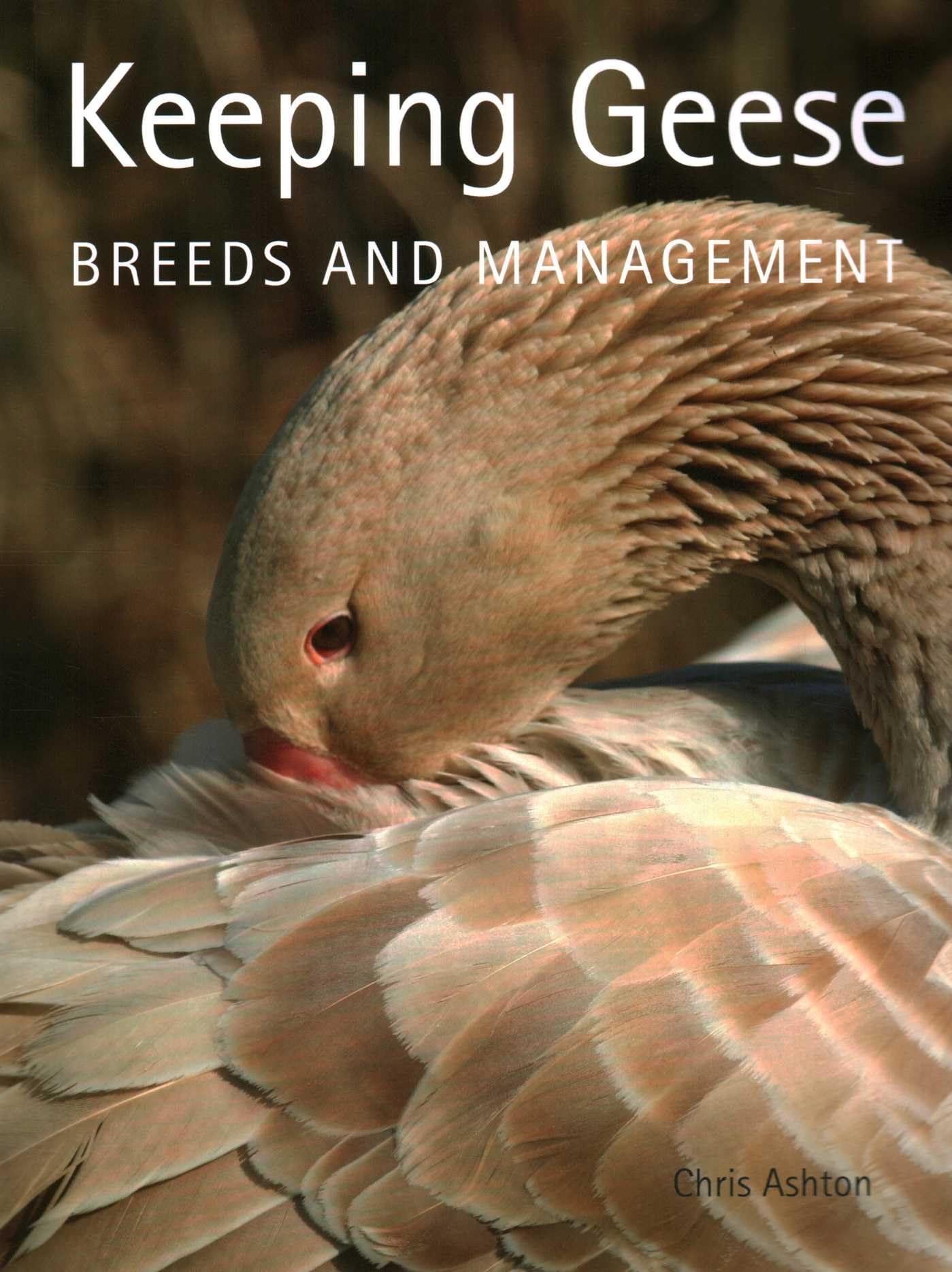 Keeping Geese – Breeds and Management Ashton Paperback The Crowood Press