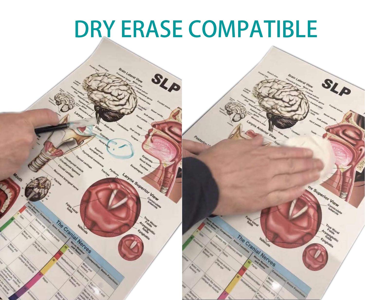 大貫弘由岐 GEO 大鉢 大貫弘由岐 GEO 植木鉢 (invisible ink y鉢 細川