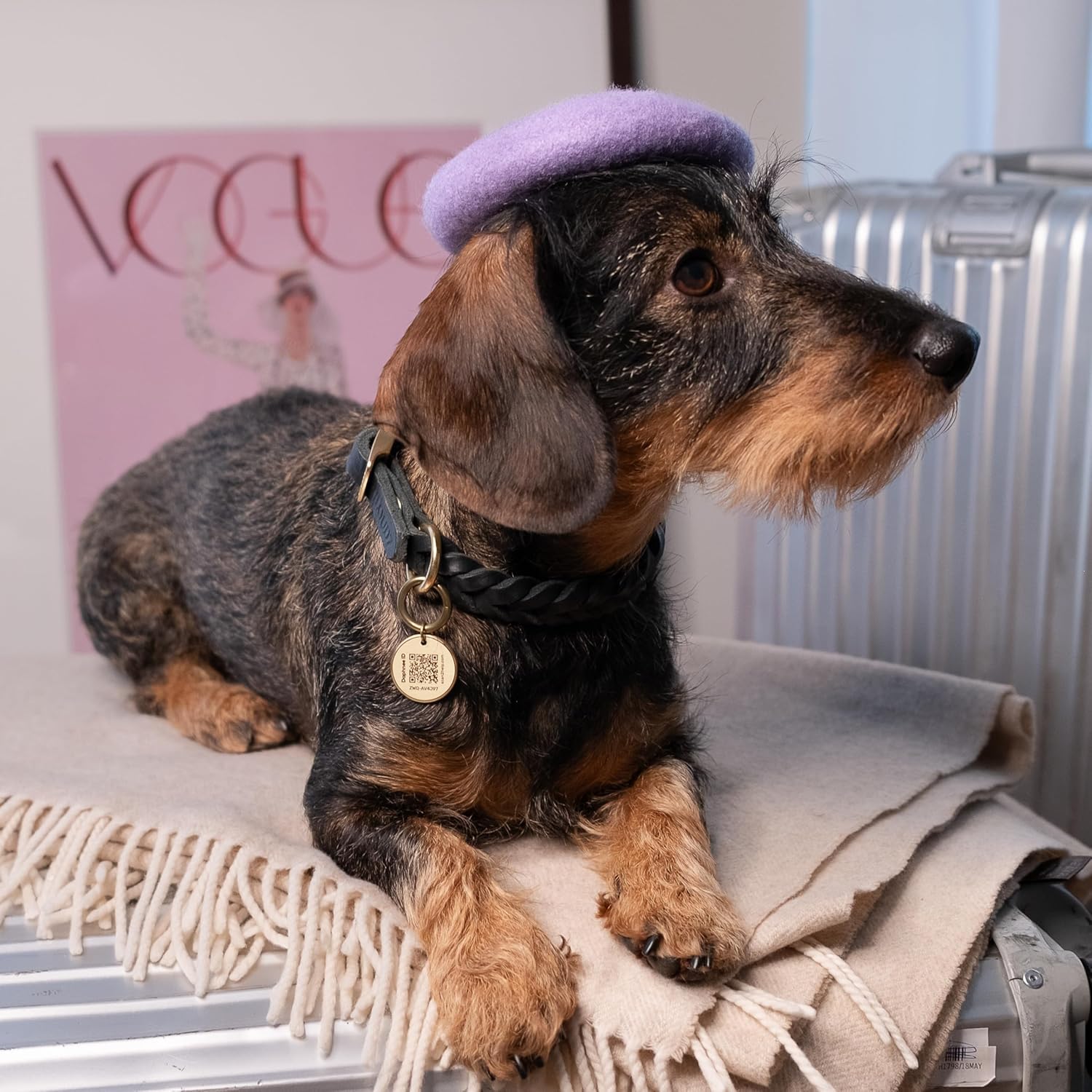 DAPHNEE ID TAG Brass Dog Tags with QR Code, Pet Online Profile, Scan the QR Instantly Receive a Pet Location Notification - Image 3